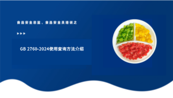GB 2760-2024使用查询方法介绍